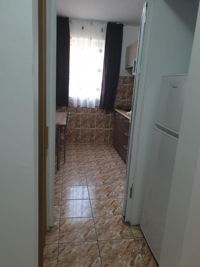 Cazare Apartament Cu 2 Camere เนโฮลู ภายนอก รูปภาพ