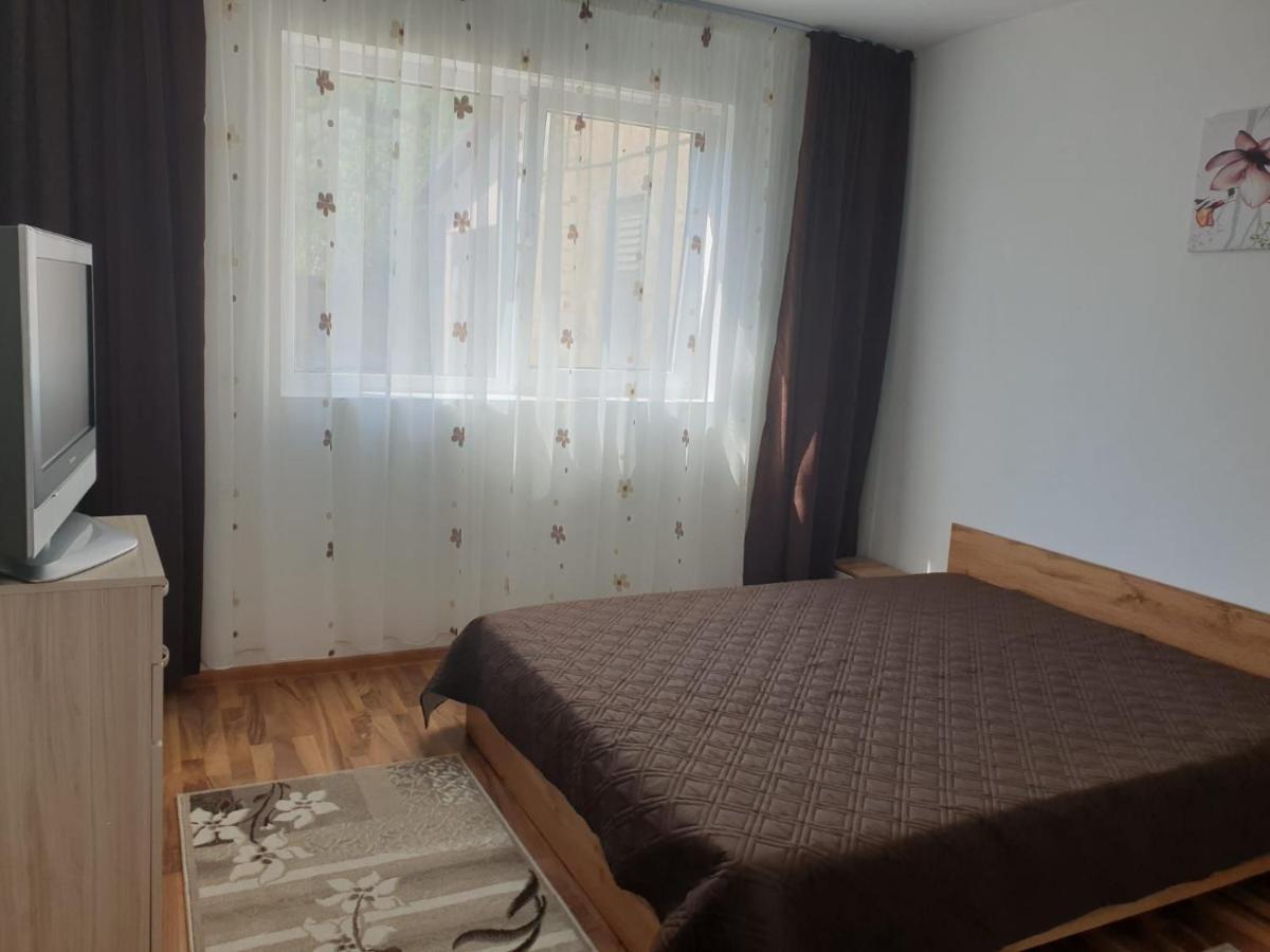 Cazare Apartament Cu 2 Camere เนโฮลู ภายนอก รูปภาพ