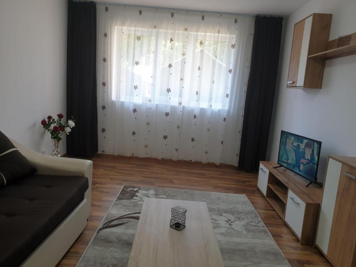 Cazare Apartament Cu 2 Camere เนโฮลู ภายนอก รูปภาพ