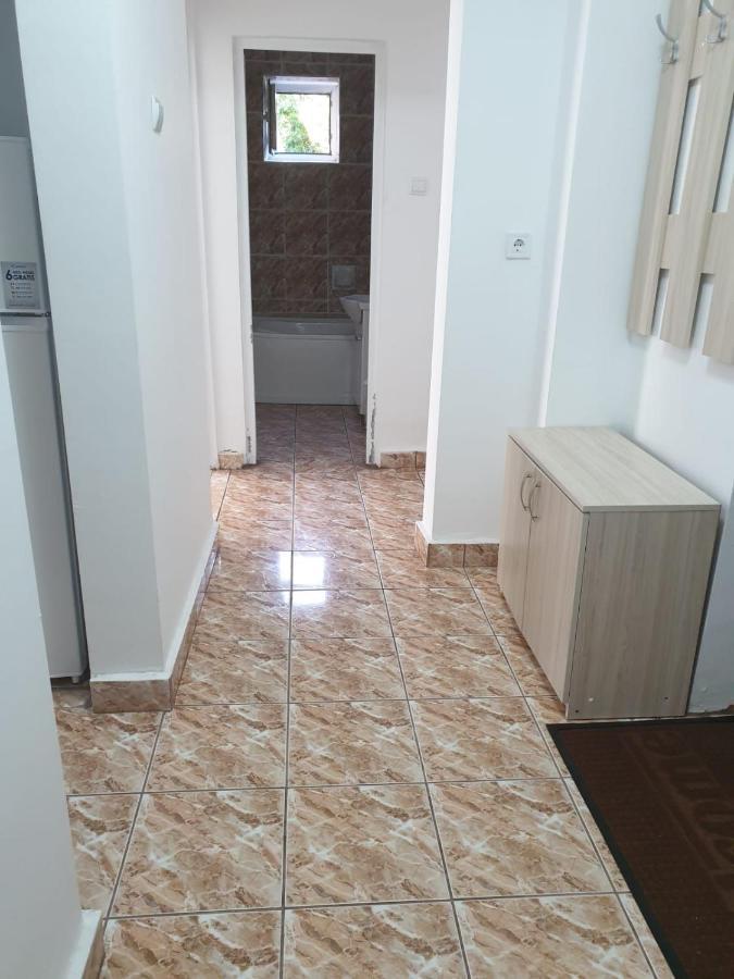 Cazare Apartament Cu 2 Camere เนโฮลู ภายนอก รูปภาพ